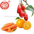 Berry goji china grossista distribuidor frutas secas ningxia goji berry com baixo preço